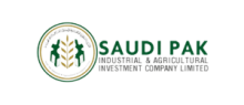 Saudi-Pak-300x142